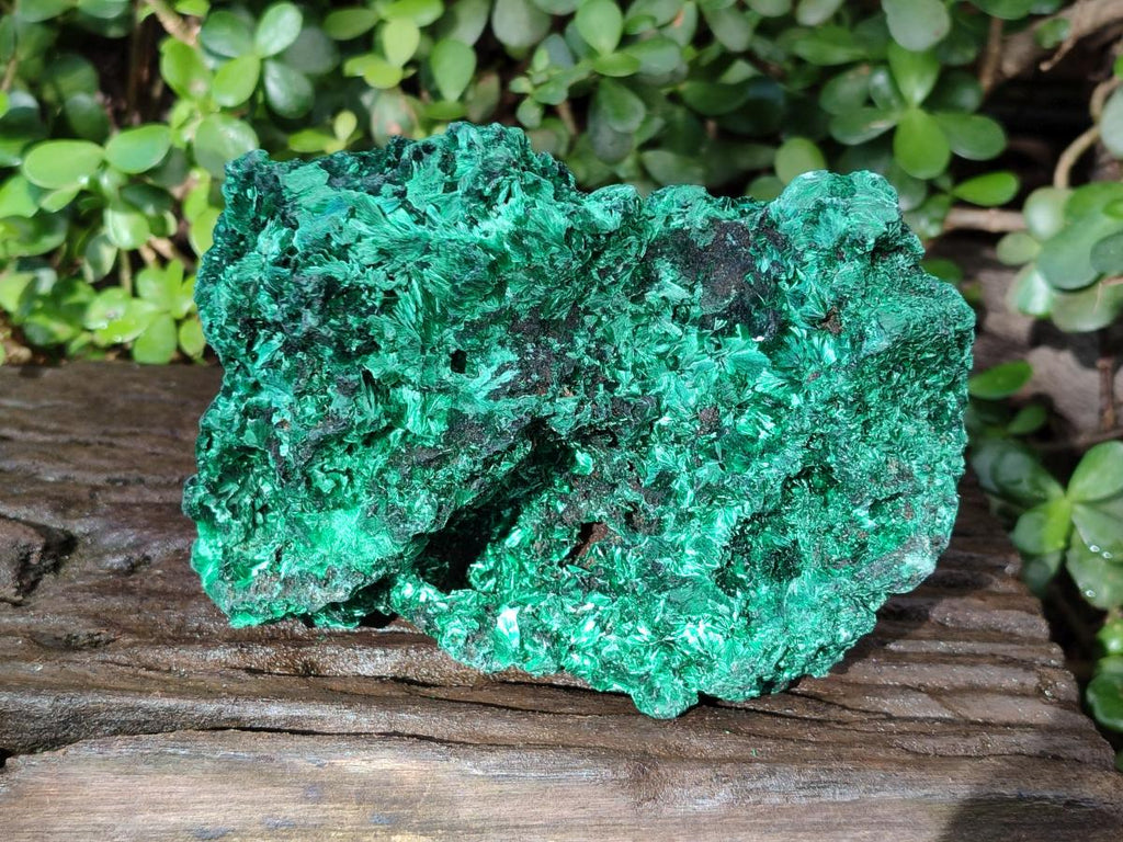 Natural Cabinet Silky Malachite Specimen x 1 From Kasompe, Congo - Toprock Gemstones and Minerals 