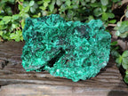 Natural Cabinet Silky Malachite Specimen x 1 From Kasompe, Congo - Toprock Gemstones and Minerals 