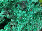 Natural Cabinet Silky Malachite Specimen x 1 From Kasompe, Congo - Toprock Gemstones and Minerals 