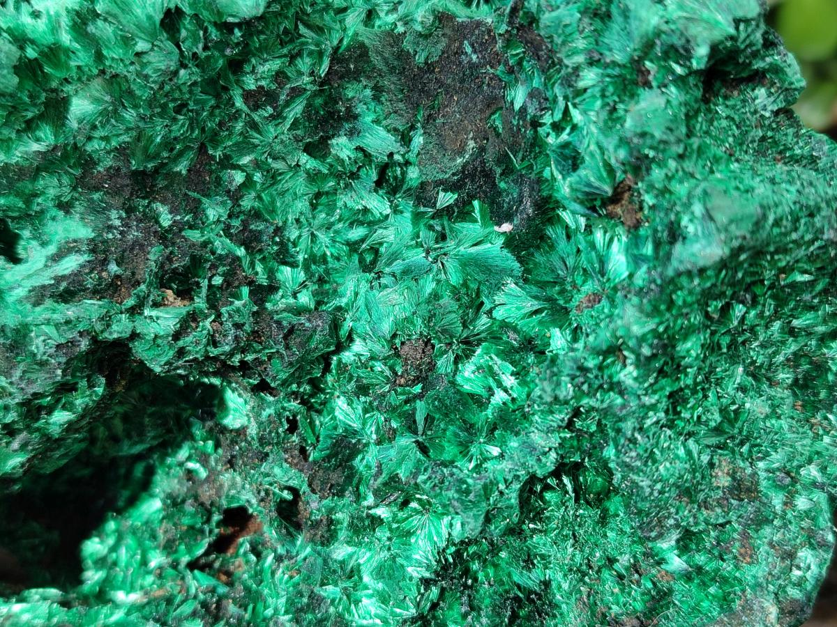 Natural Cabinet Silky Malachite Specimen x 1 From Kasompe, Congo - Toprock Gemstones and Minerals 