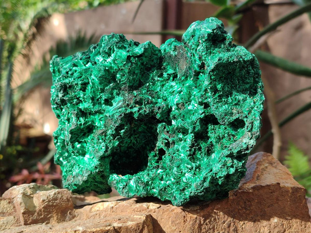 Natural Cabinet Silky Malachite Specimen x 1 From Kasompe, Congo - Toprock Gemstones and Minerals 