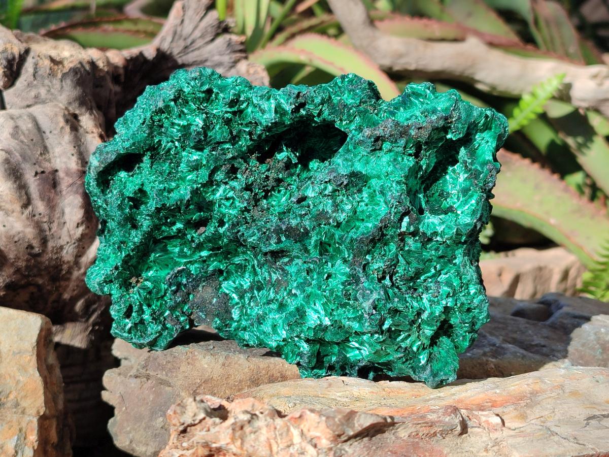 Natural Cabinet Silky Malachite Specimen x 1 From Kasompe, Congo - Toprock Gemstones and Minerals 