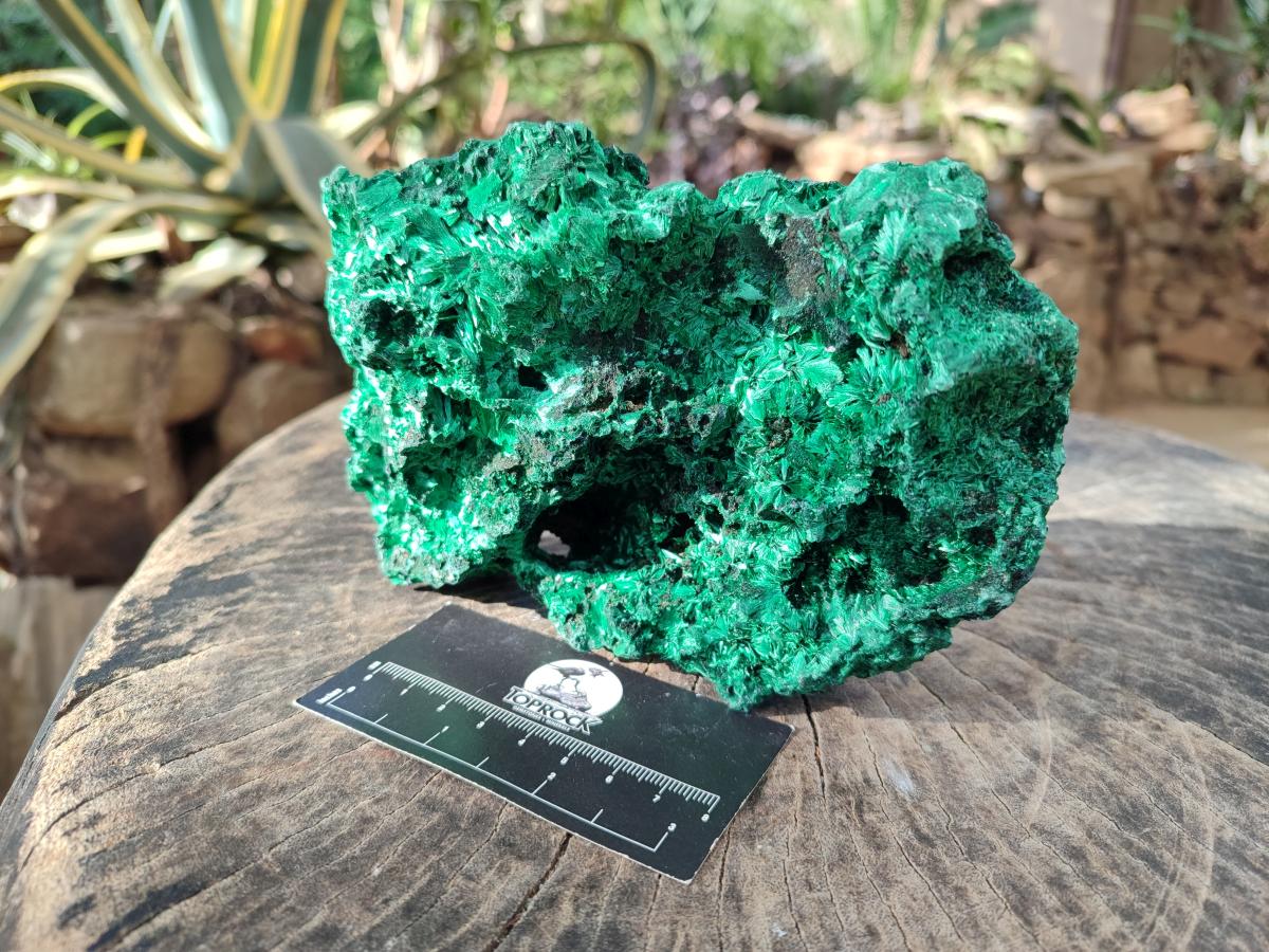 Natural Cabinet Silky Malachite Specimen x 1 From Kasompe, Congo - Toprock Gemstones and Minerals 
