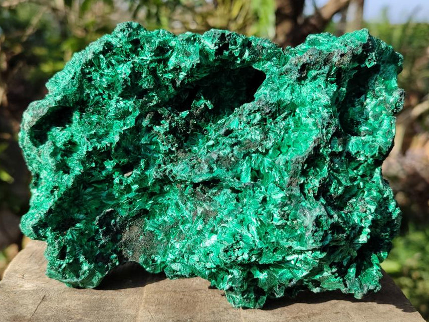 Natural Cabinet Silky Malachite Specimen x 1 From Kasompe, Congo - Toprock Gemstones and Minerals 