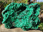 Natural Cabinet Silky Malachite Specimen x 1 From Kasompe, Congo - Toprock Gemstones and Minerals 