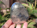 Polished XL Basalt Pharaoh Stone Free Forms x 3 From Iron Duke Mine, Zimbabwe