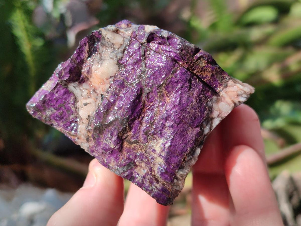 Natural Metallic Cobbed Purpurite Specimens x 6 From Erongo, Namibia