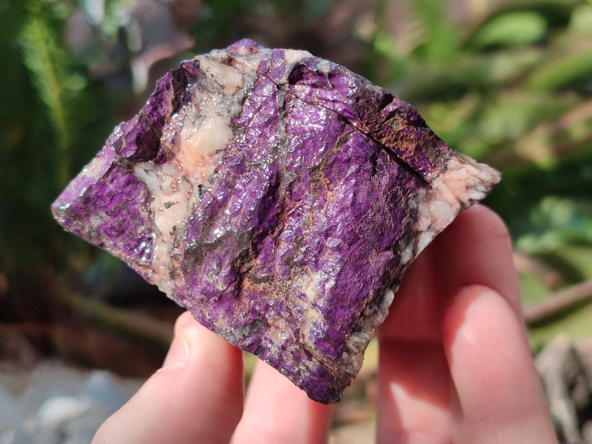 Natural Metallic Cobbed Purpurite Specimens x 6 From Erongo, Namibia
