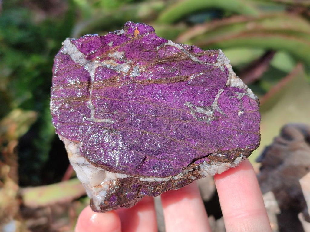 Natural Metallic Cobbed Purpurite Specimens x 6 From Erongo, Namibia