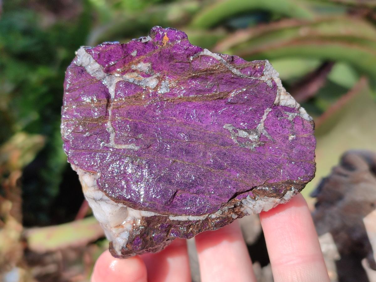 Natural Metallic Cobbed Purpurite Specimens x 6 From Erongo, Namibia
