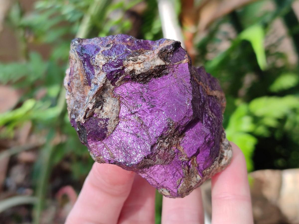 Natural Metallic Cobbed Purpurite Specimens x 6 From Erongo, Namibia