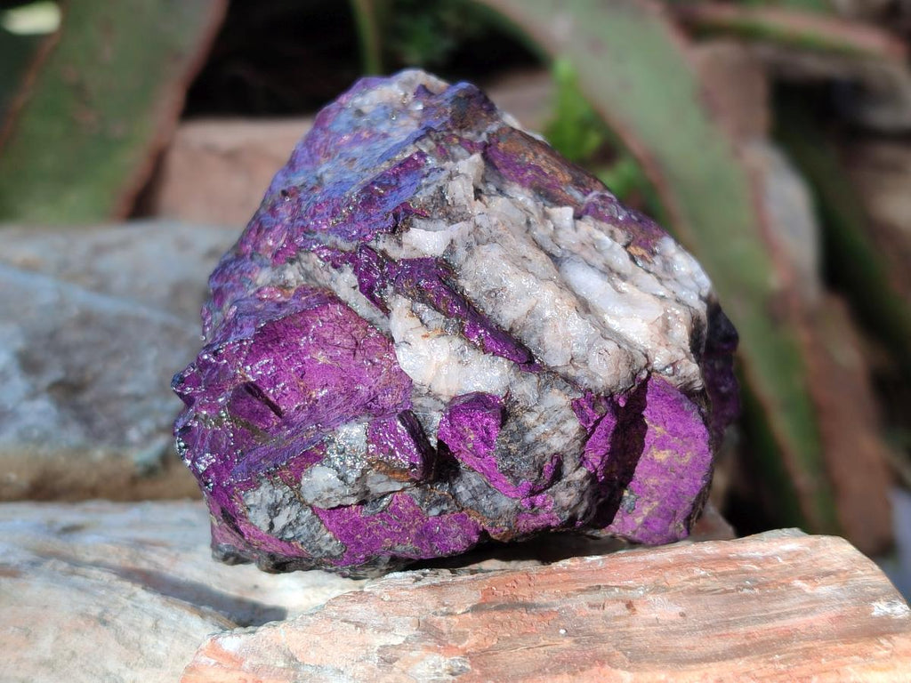 Natural Metallic Cobbed Purpurite Specimens x 6 From Erongo, Namibia