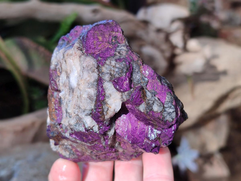 Natural Metallic Cobbed Purpurite Specimens x 6 From Erongo, Namibia
