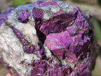 Natural Metallic Cobbed Purpurite Specimens x 6 From Erongo, Namibia