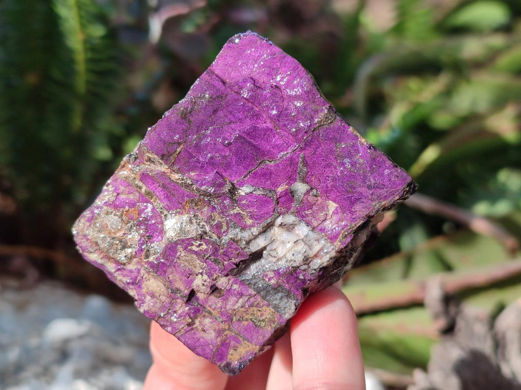 Natural Metallic Cobbed Purpurite Specimens x 6 From Erongo, Namibia