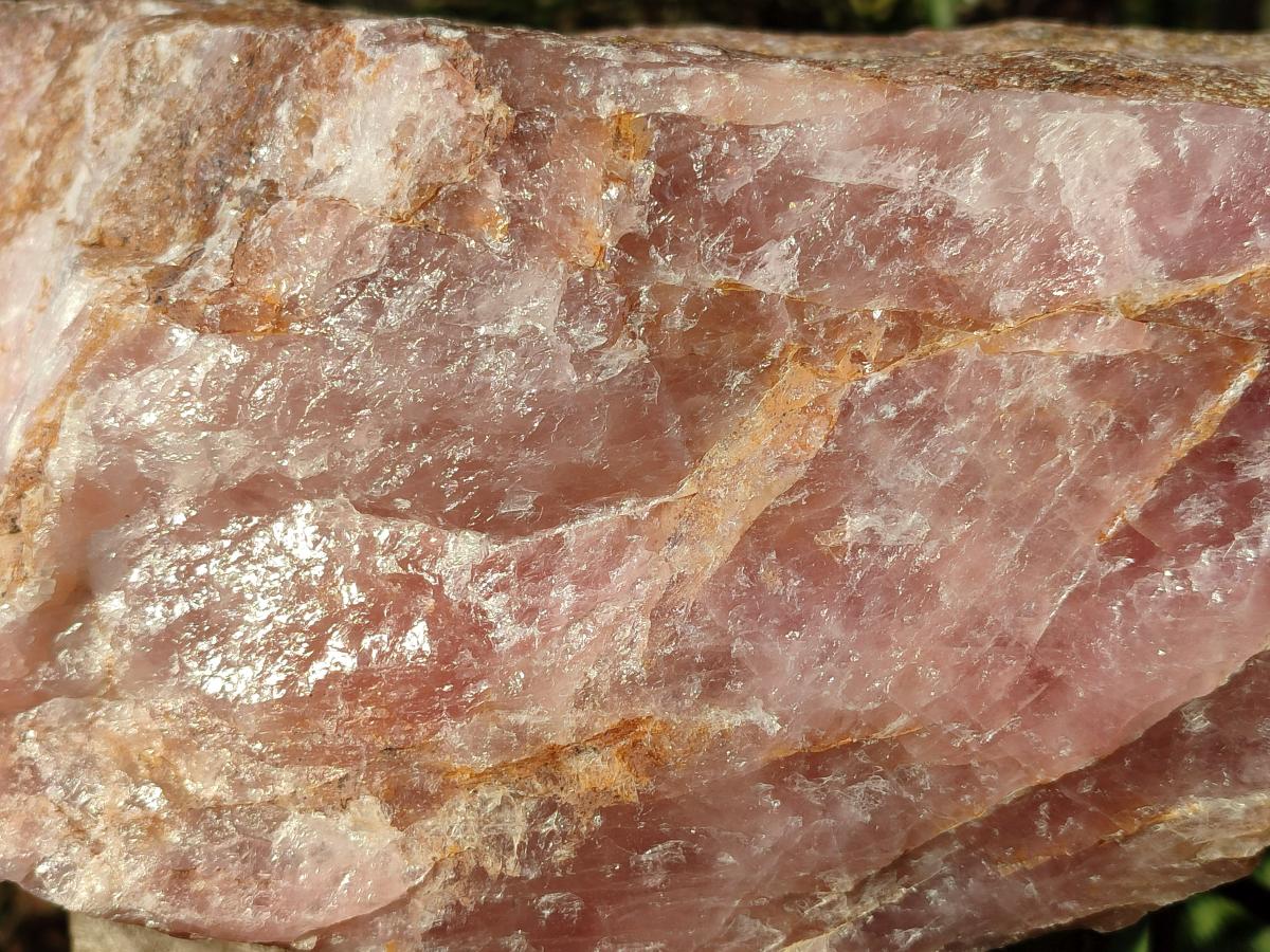 Natural XL Cobbed Rose Quartz Specimen x 1 From Northern Cape, South Africa - Toprock Gemstones and Minerals 