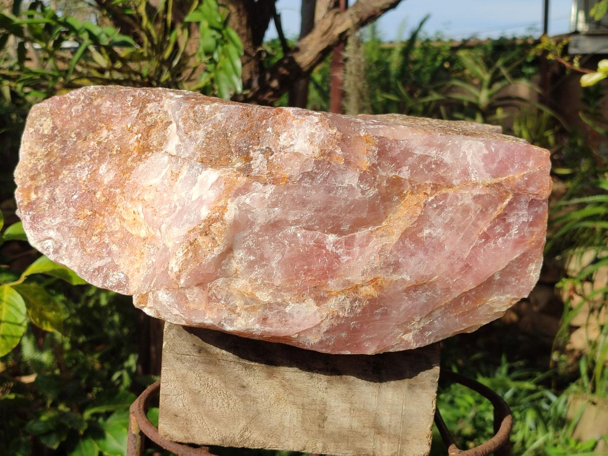 Natural XL Cobbed Rose Quartz Specimen x 1 From Northern Cape, South Africa - Toprock Gemstones and Minerals 