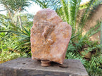 Natural XL Cobbed Rose Quartz Specimen x 1 From Northern Cape, South Africa - Toprock Gemstones and Minerals 