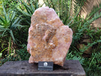 Natural XL Cobbed Rose Quartz Specimen x 1 From Northern Cape, South Africa - Toprock Gemstones and Minerals 