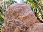 Natural XL Cobbed Rose Quartz Specimen x 1 From Northern Cape, South Africa - Toprock Gemstones and Minerals 