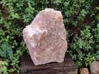 Natural XL Cobbed Rose Quartz Specimen x 1 From Northern Cape, South Africa - Toprock Gemstones and Minerals 