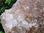 Natural XL Cobbed Rose Quartz Specimen x 1 From Northern Cape, South Africa - Toprock Gemstones and Minerals 