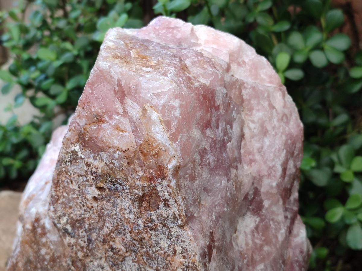 Natural XL Cobbed Rose Quartz Specimen x 1 From Northern Cape, South Africa - Toprock Gemstones and Minerals 