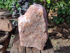 Natural XL Cobbed Rose Quartz Specimen x 1 From Northern Cape, South Africa - Toprock Gemstones and Minerals 