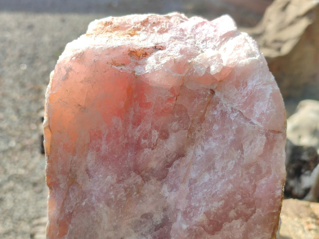 Natural XL Cobbed Rose Quartz Specimen x 1 From Northern Cape, South Africa - Toprock Gemstones and Minerals 