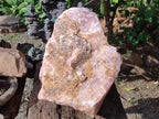 Natural XL Cobbed Rose Quartz Specimen x 1 From Northern Cape, South Africa - Toprock Gemstones and Minerals 