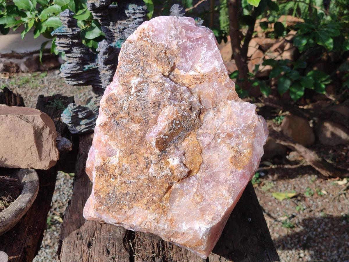 Natural XL Cobbed Rose Quartz Specimen x 1 From Northern Cape, South Africa - Toprock Gemstones and Minerals 