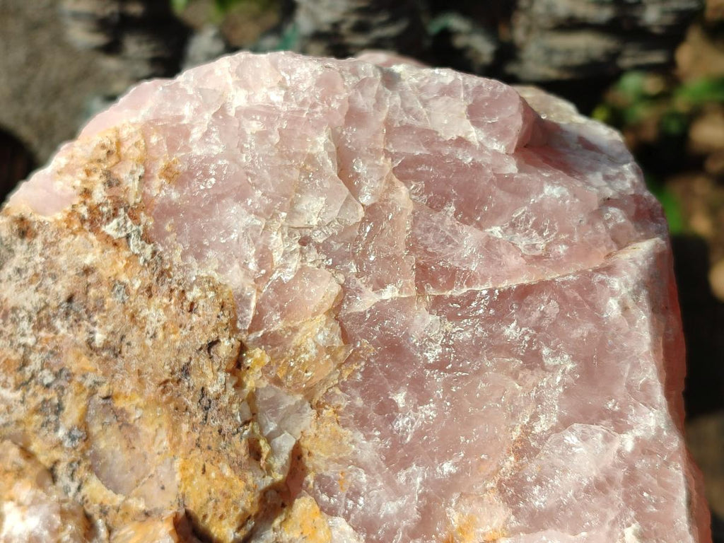 Natural XL Cobbed Rose Quartz Specimen x 1 From Northern Cape, South Africa - Toprock Gemstones and Minerals 