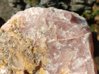 Natural XL Cobbed Rose Quartz Specimen x 1 From Northern Cape, South Africa - Toprock Gemstones and Minerals 
