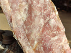 Natural XL Cobbed Rose Quartz Specimen x 1 From Northern Cape, South Africa - Toprock Gemstones and Minerals 