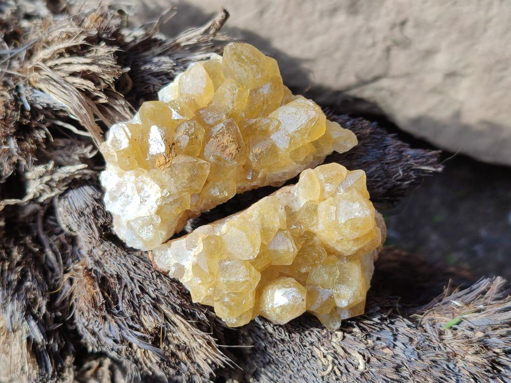 Natural Golden Limonite Quartz Crystal Cluster Plates x 70 From Solwezi, Zambia - Toprock Gemstones and Minerals 