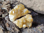 Natural Golden Limonite Quartz Crystal Cluster Plates x 70 From Solwezi, Zambia - Toprock Gemstones and Minerals 