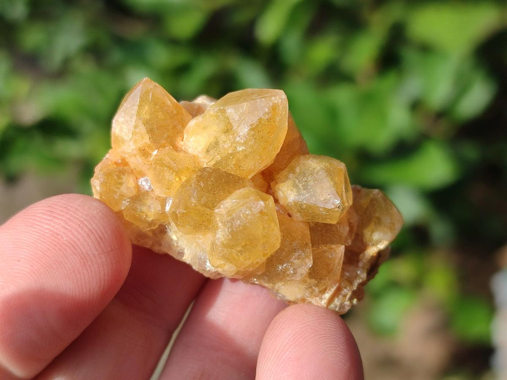 Natural Golden Limonite Quartz Crystal Cluster Plates x 70 From Solwezi, Zambia - Toprock Gemstones and Minerals 