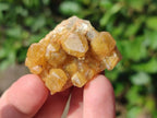 Natural Golden Limonite Quartz Crystal Cluster Plates x 70 From Solwezi, Zambia - Toprock Gemstones and Minerals 