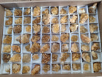 Natural Golden Limonite Quartz Crystal Cluster Plates x 70 From Solwezi, Zambia - Toprock Gemstones and Minerals 