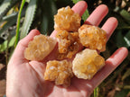 Natural Golden Limonite Quartz Crystal Cluster Plates x 70 From Solwezi, Zambia - Toprock Gemstones and Minerals 