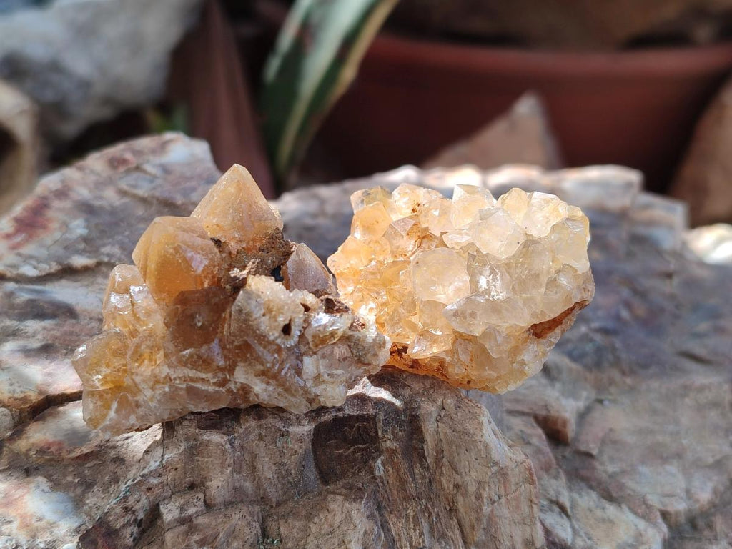 Natural Golden Limonite Quartz Crystal Cluster Plates x 70 From Solwezi, Zambia - Toprock Gemstones and Minerals 