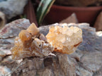 Natural Golden Limonite Quartz Crystal Cluster Plates x 70 From Solwezi, Zambia - Toprock Gemstones and Minerals 