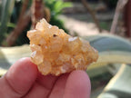Natural Golden Limonite Quartz Crystal Cluster Plates x 70 From Solwezi, Zambia - Toprock Gemstones and Minerals 