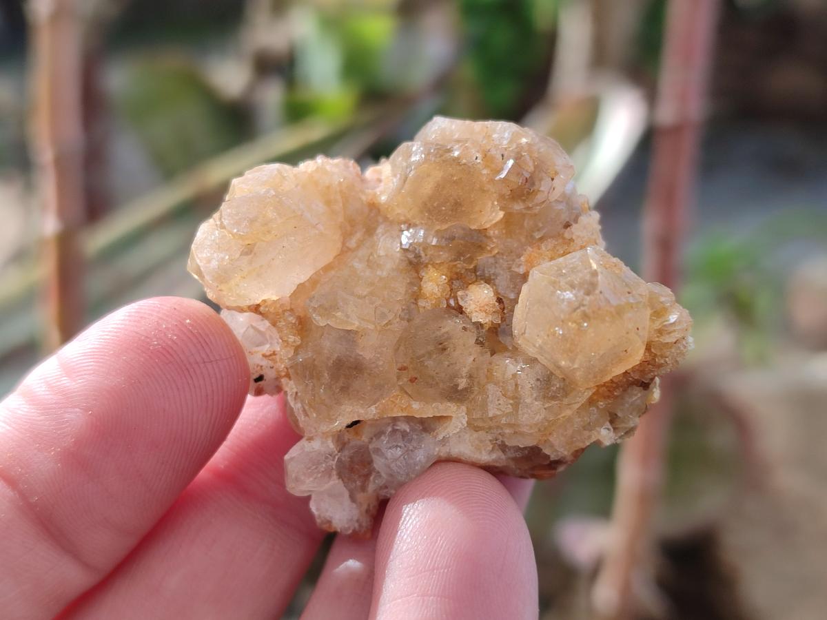 Natural Golden Limonite Quartz Crystal Cluster Plates x 70 From Solwezi, Zambia - Toprock Gemstones and Minerals 