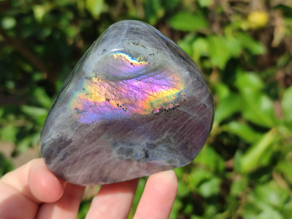 Polished Rare Purple Sunset Flash Labradorite Standing Display Pieces x 2 From Madagascar - Toprock Gemstones and Minerals 