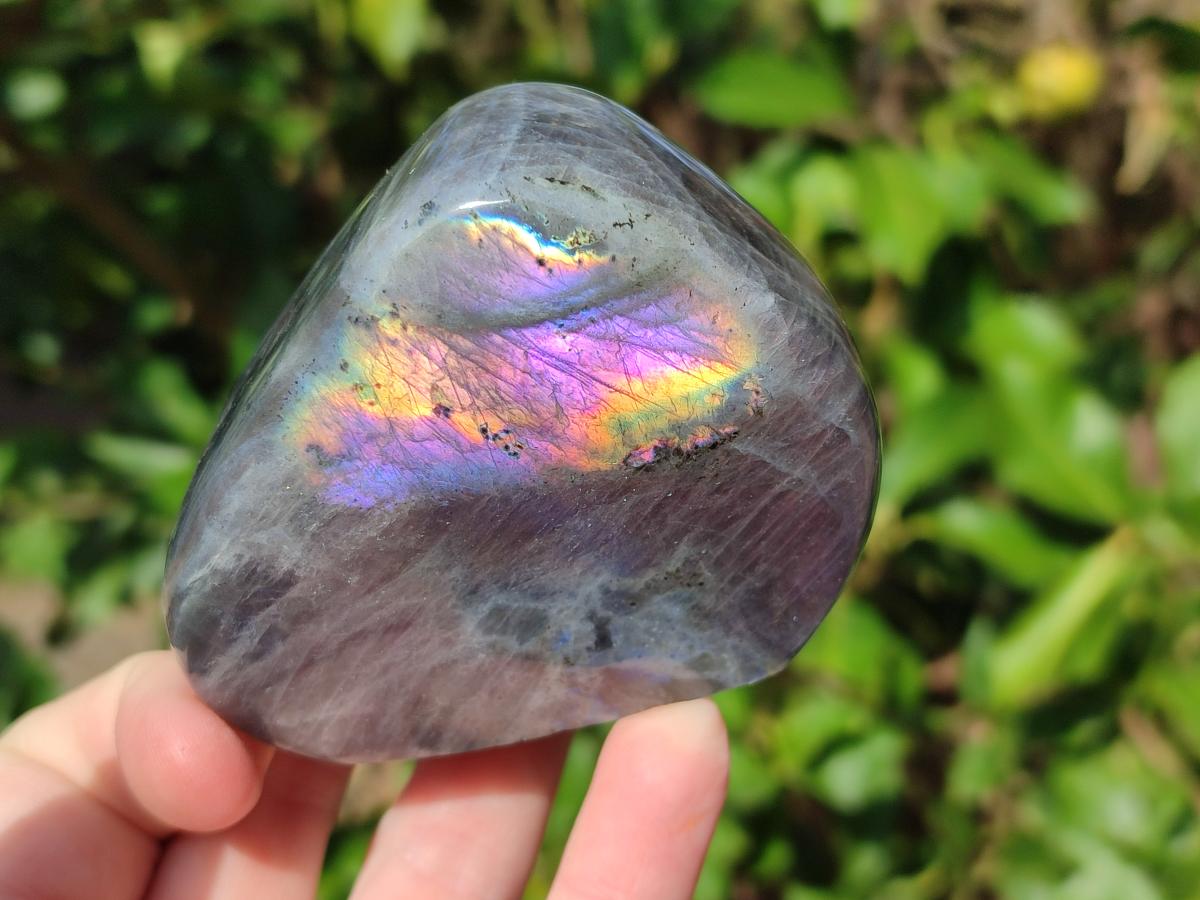 Polished Rare Purple Sunset Flash Labradorite Standing Display Pieces x 2 From Madagascar - Toprock Gemstones and Minerals 