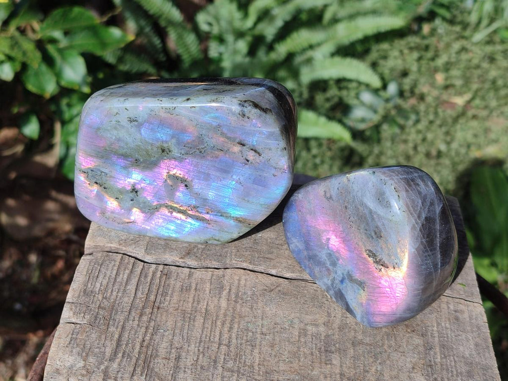 Polished Rare Purple Sunset Flash Labradorite Standing Display Pieces x 2 From Madagascar - Toprock Gemstones and Minerals 