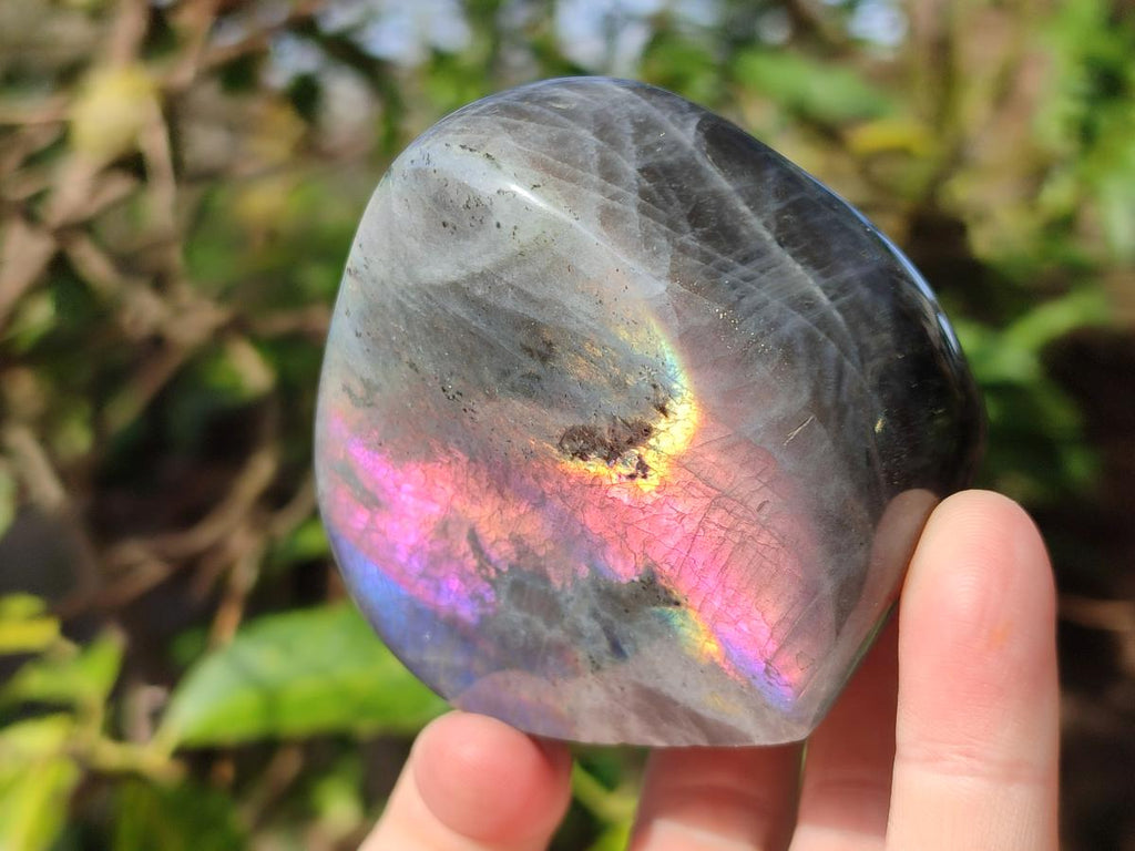 Polished Rare Purple Sunset Flash Labradorite Standing Display Pieces x 2 From Madagascar - Toprock Gemstones and Minerals 
