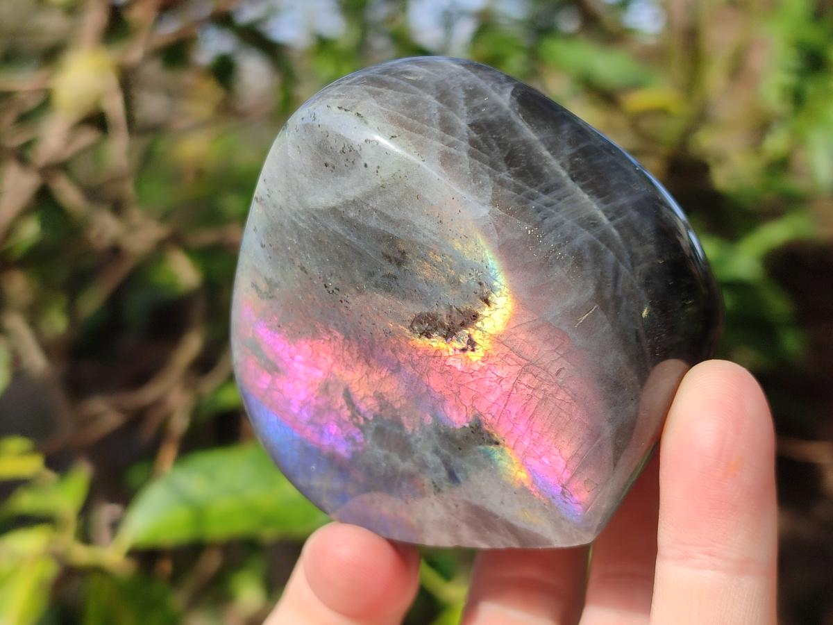Polished Rare Purple Sunset Flash Labradorite Standing Display Pieces x 2 From Madagascar - Toprock Gemstones and Minerals 