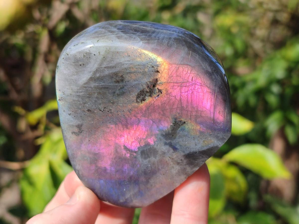 Polished Rare Purple Sunset Flash Labradorite Standing Display Pieces x 2 From Madagascar - Toprock Gemstones and Minerals 